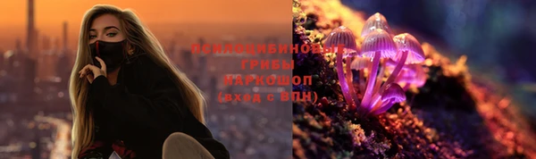 а пвп мука Пересвет